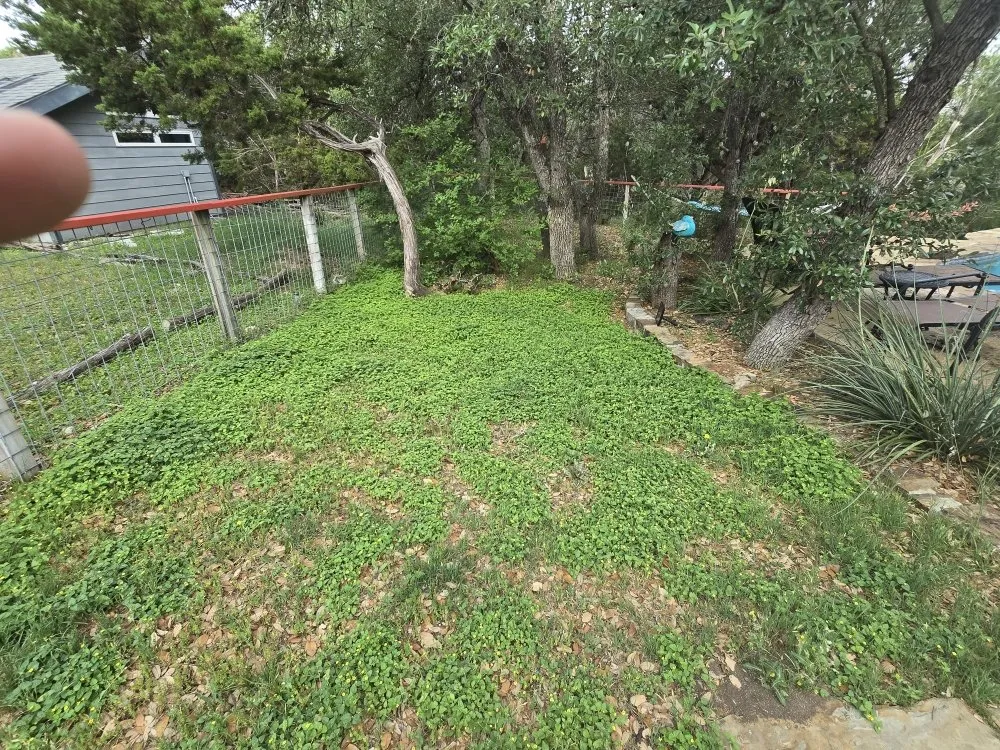 Local landscape installation for homes in Canyon Lake, TX by R&M Lawn & Trees Sevice