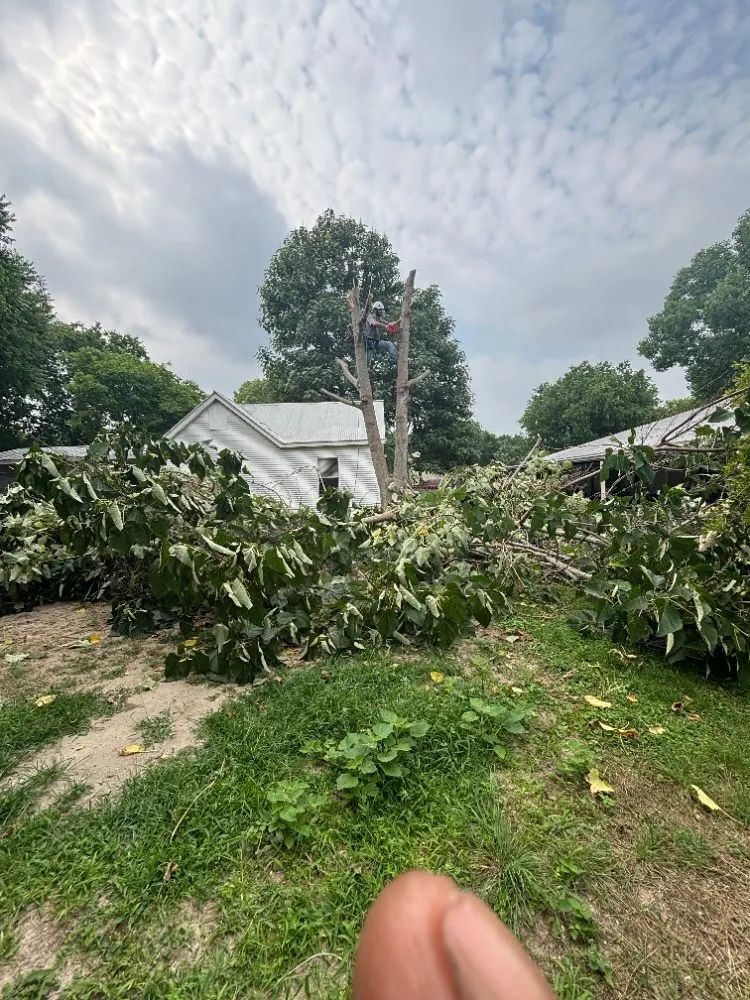 Expert garden landscaping experts serving Canyon Lake, TX - R&M Lawn & Trees Sevice