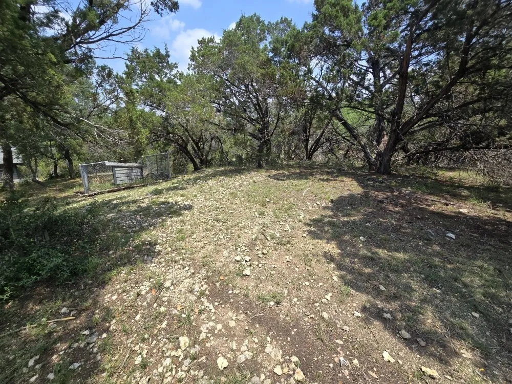 Professional lawn mowing service in Canyon Lake, TX - R&M Lawn & Trees Sevice