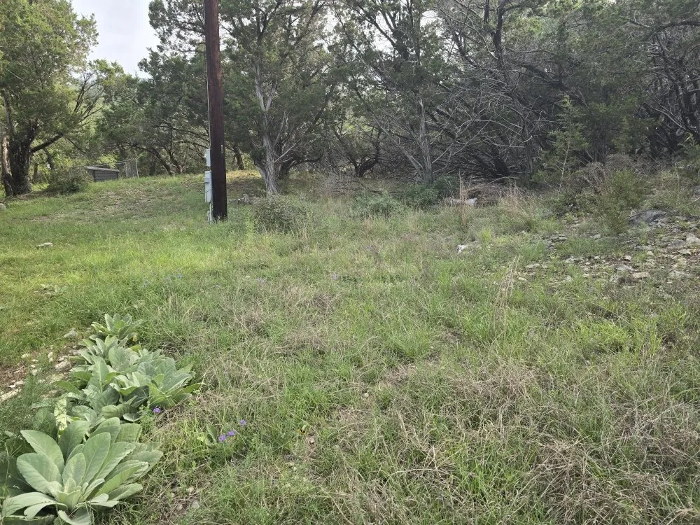 Expert yard maintenance experts serving Canyon Lake, TX - R&M Lawn & Trees Sevice