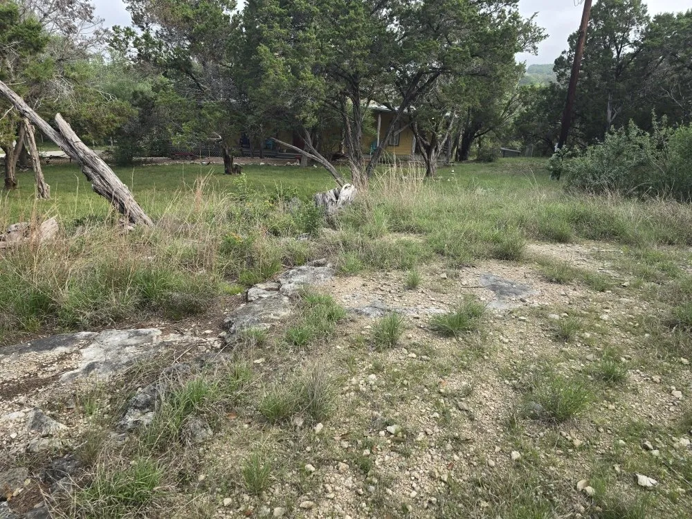 Reliable lawn care service experts serving Canyon Lake, TX - R&M Lawn & Trees Sevice