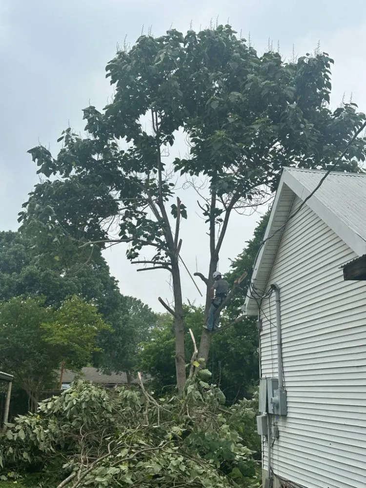 Custom residential landscaping in Canyon Lake, TX - R&M Lawn & Trees Sevice