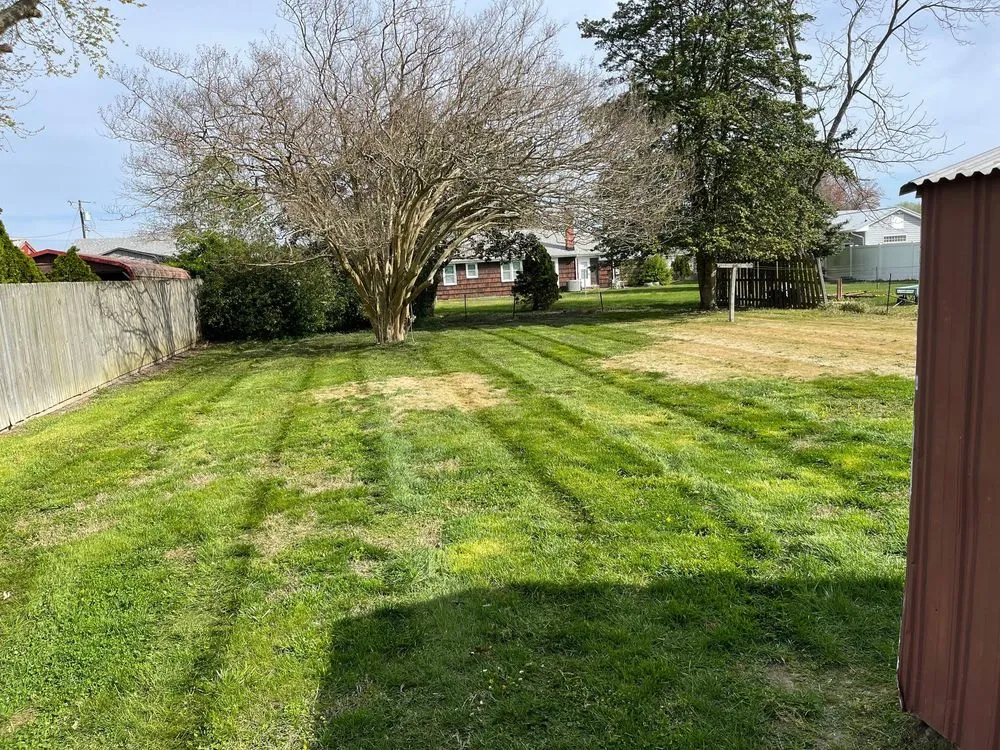 Top-rated yard maintenance in Federalsburg, MD - RM Lawn Maintenance