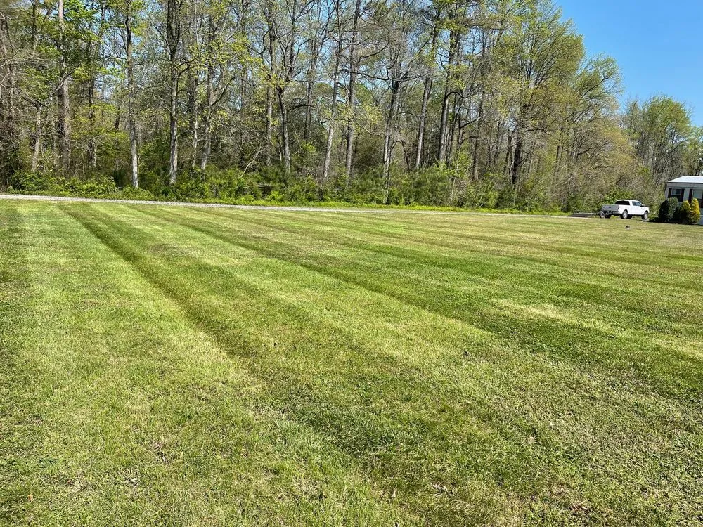 Affordable yard maintenance in Federalsburg, MD by RM Lawn Maintenance