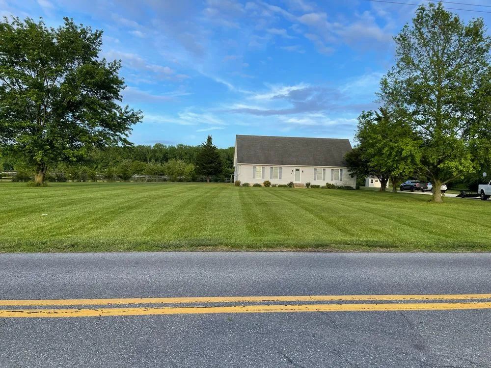 Reliable yard cleanup service for outdoor upgrades in Federalsburg, MD by RM Lawn Maintenance