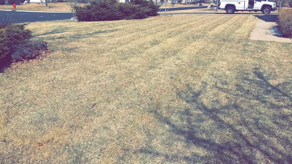 Custom lawn care service for outdoor upgrades across Beach Park, IL - Rm Lawn Service Care