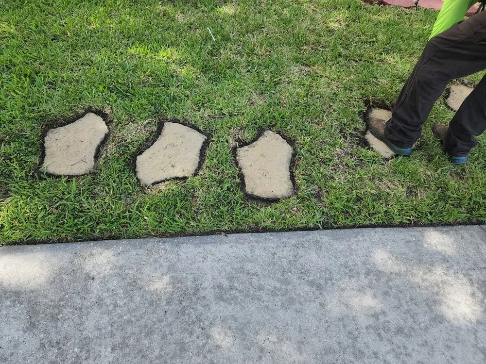 Reliable yard cleanup service in Davenport, FL by R&M Lawncare Maintenance