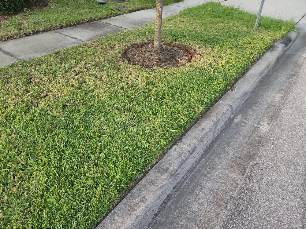 Custom landscaping services near you across Davenport, FL - R&M Lawncare Maintenance