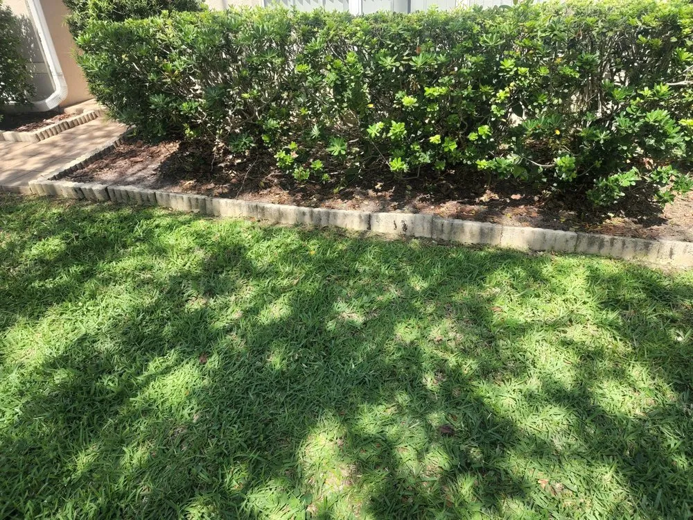 Professional residential landscaping in Davenport, FL - R&M Lawncare Maintenance