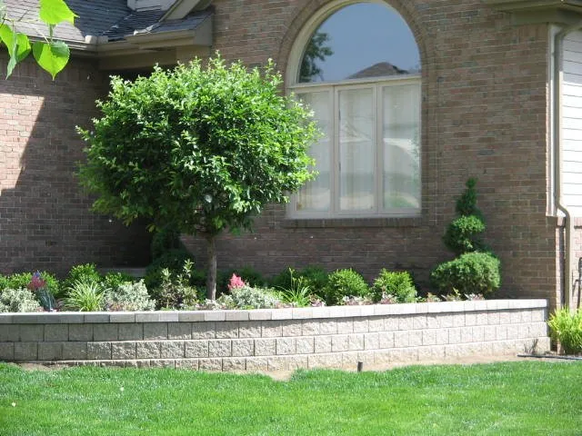 Top-rated yard cleanup service experts serving Dearborn Heights, MI - R&M Property Services
