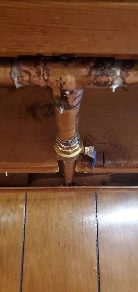 Trusted lawn mowing service experts serving Dearborn Heights, MI - R&M Property Services