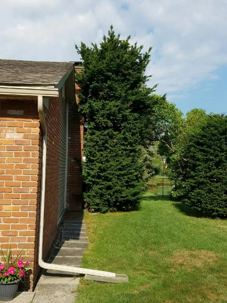 Professional residential landscaping in Dearborn Heights, MI by R&M Property Services