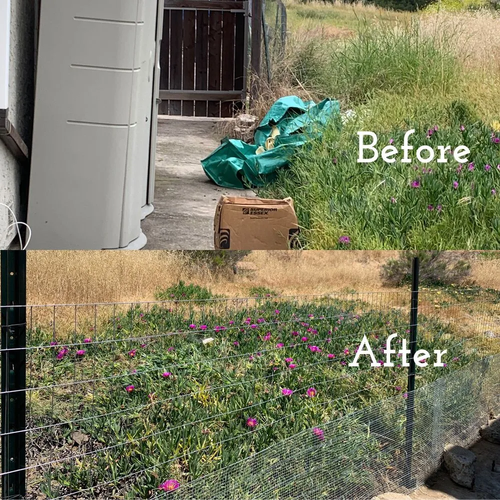 Professional residential landscaping for residential properties in Lemon Grove, CA by RM Total Yard Care