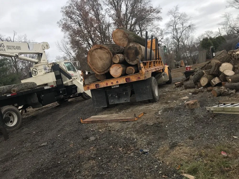 Affordable outdoor landscaping in Louisville, KY - Rm Tree & Stump Removal