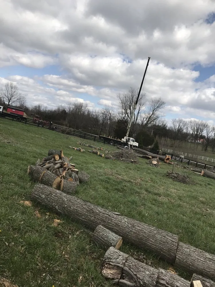 Trusted landscaping services near you across Louisville, KY - Rm Tree & Stump Removal