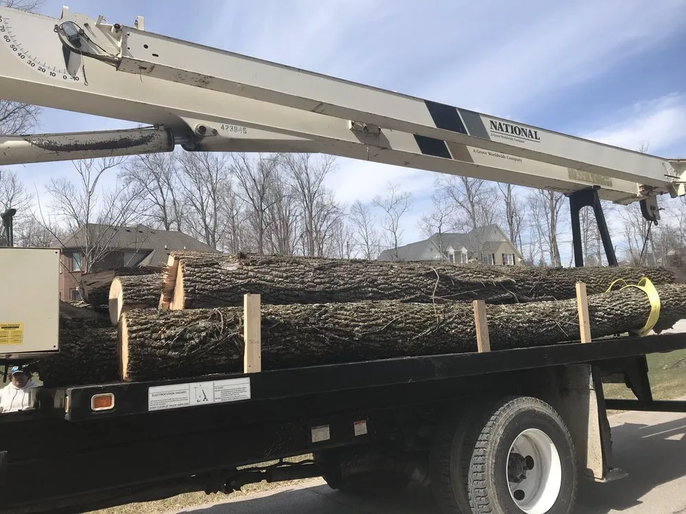 Affordable lawn mowing service with custom design in Louisville, KY by Rm Tree & Stump Removal