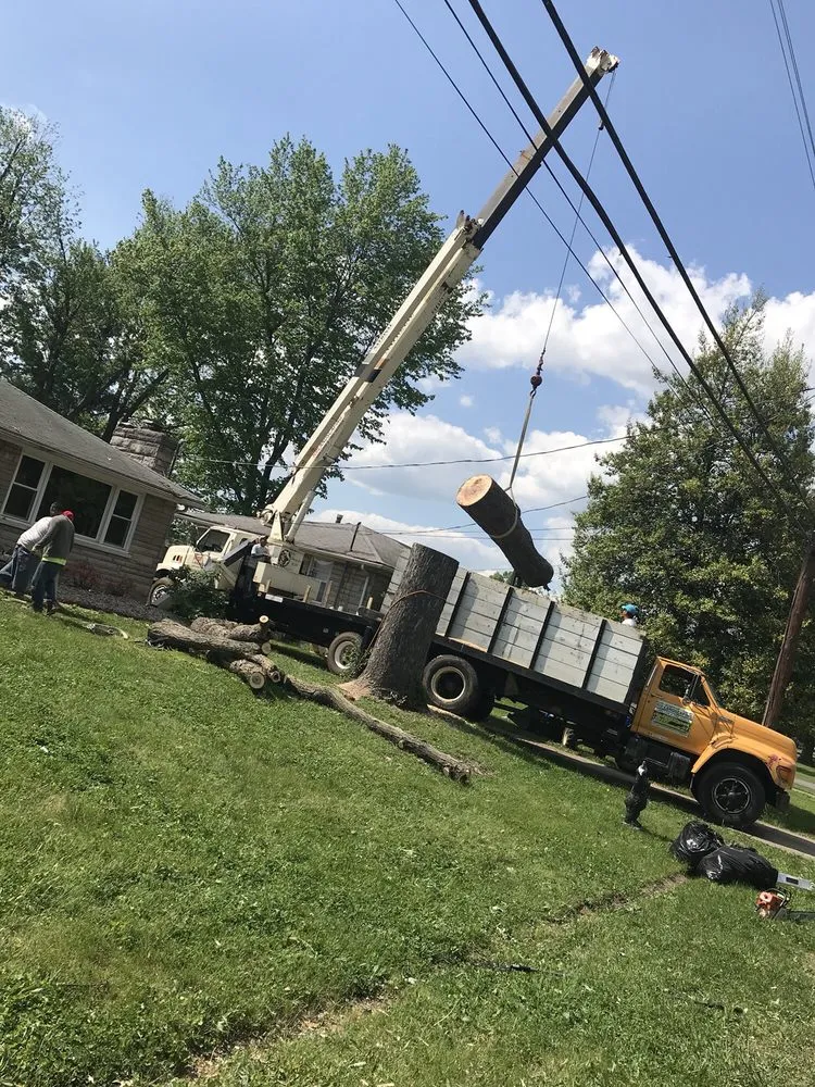 Trusted residential landscaping with custom design in Louisville, KY by Rm Tree & Stump Removal