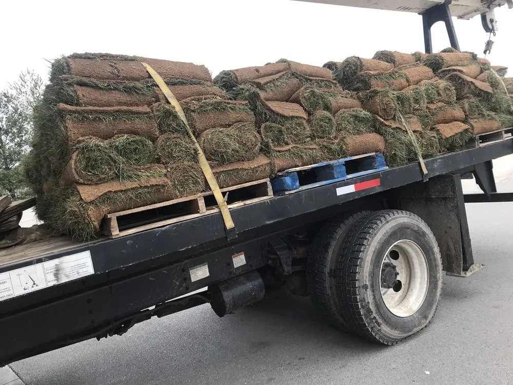 Reliable residential landscaping experts serving Louisville, KY - Rm Tree & Stump Removal