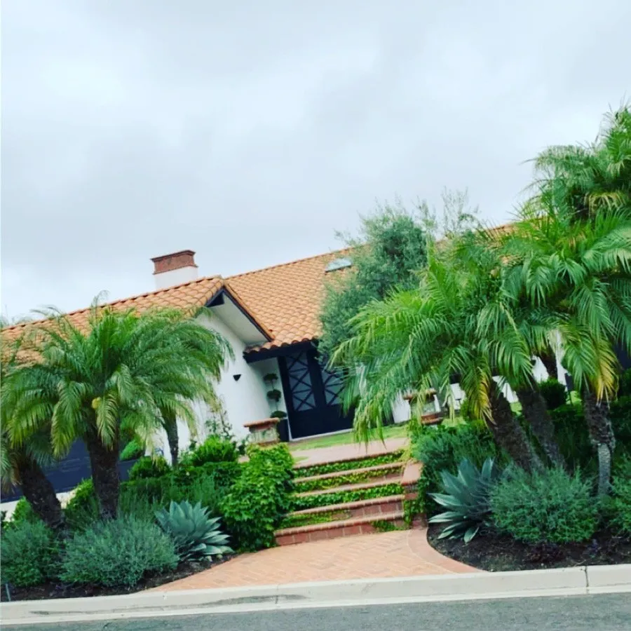 Top-rated lawn care service experts serving Santa Ana, CA - Rm Tree Care