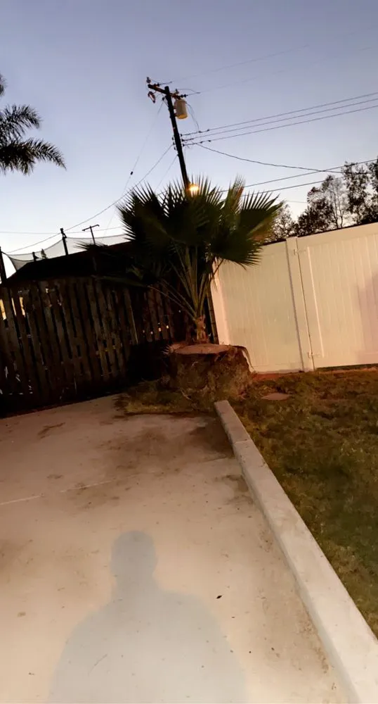 Affordable yard maintenance for beautiful yards across Santa Ana, CA - Rm Tree Care