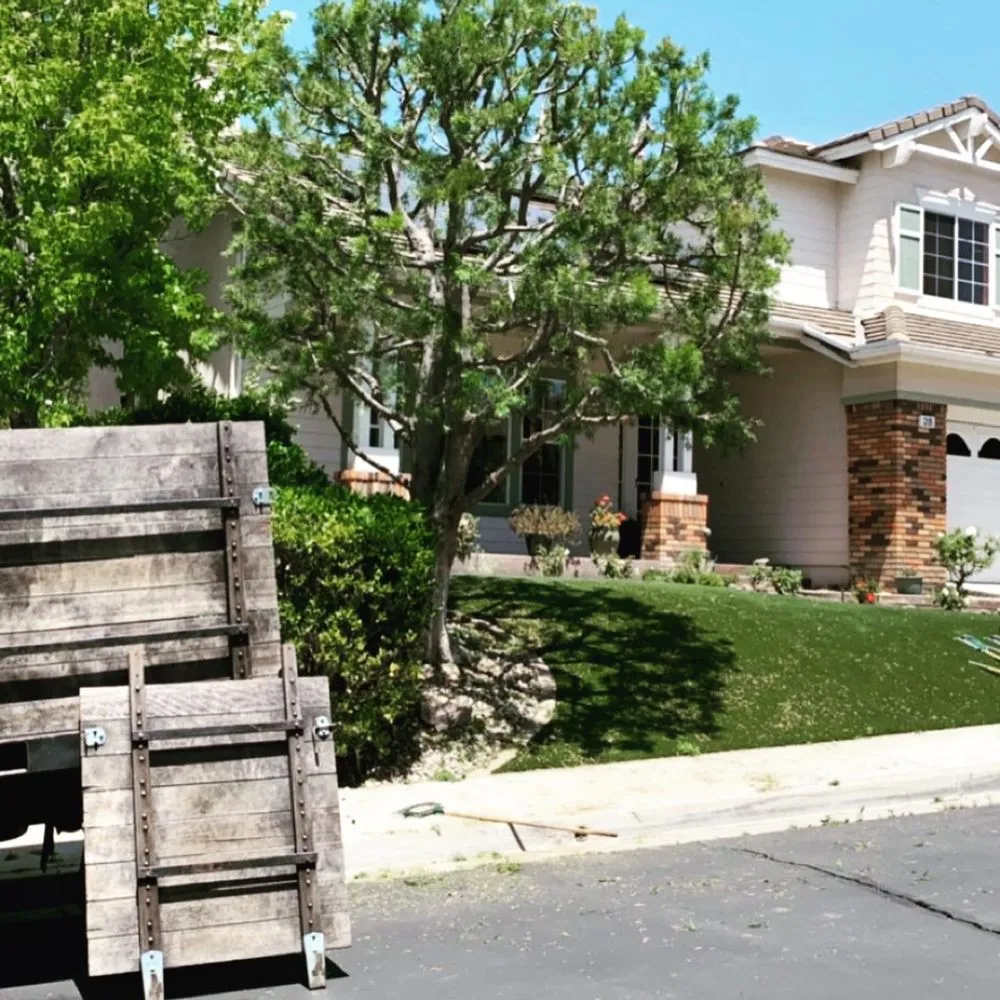 Affordable yard cleanup service in Santa Ana, CA by Rm Tree Care