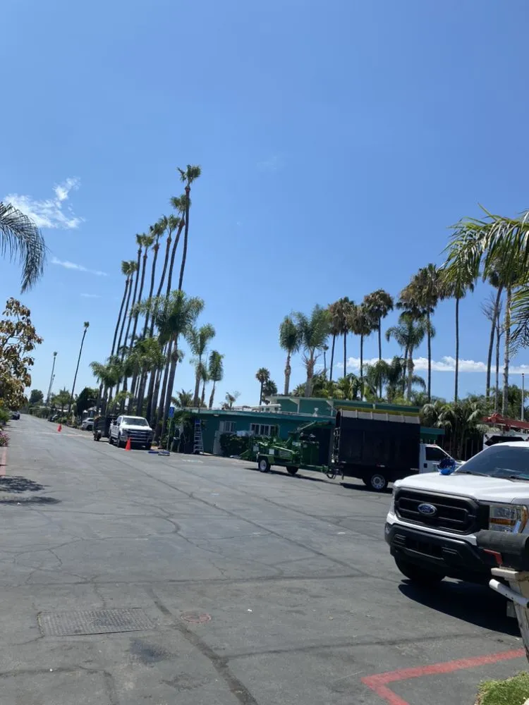 Reliable residential landscaping for residential properties in Santa Ana, CA by Rm Tree Care