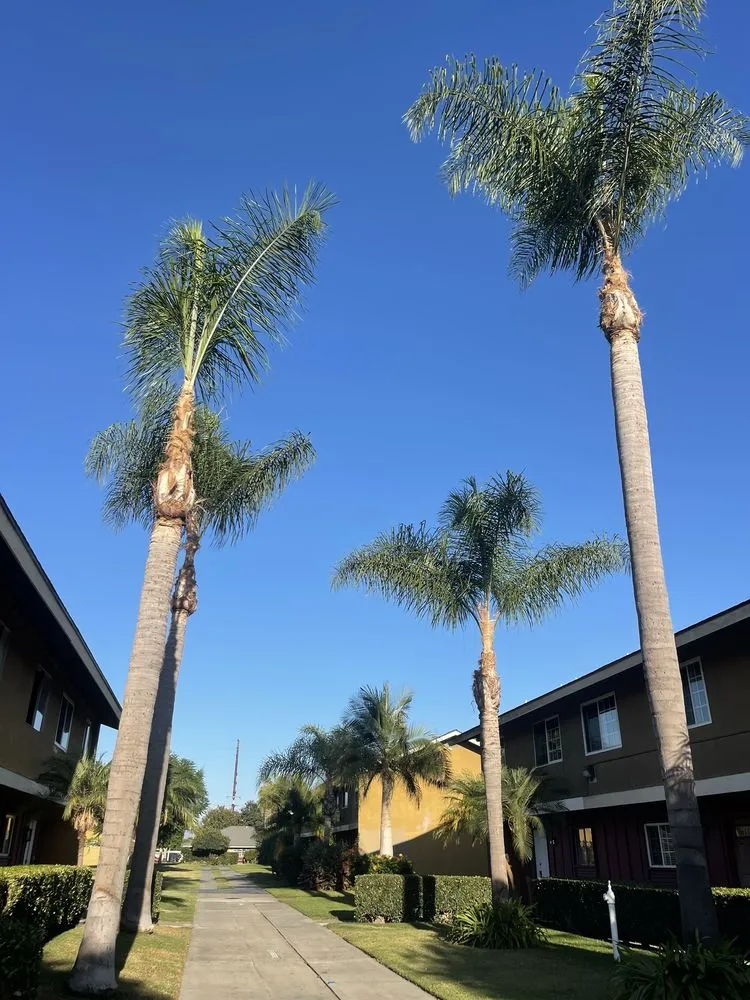 Trusted lawn mowing service for beautiful yards across Santa Ana, CA - Rm Tree Care