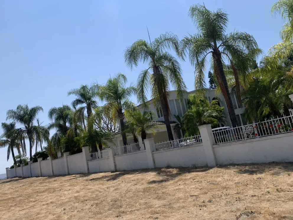 Trusted yard cleanup service with custom design in Santa Ana, CA by Rm Tree Care