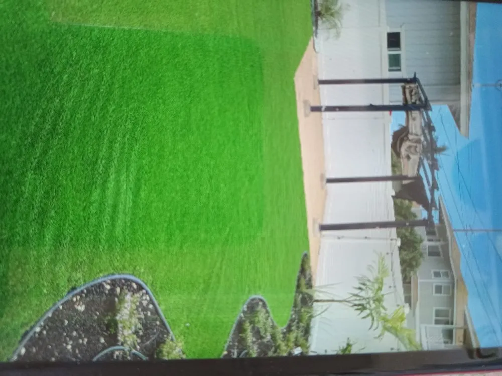 Affordable yard cleanup service in Waipahu, HI by RM1 Yard & Landscaping Services