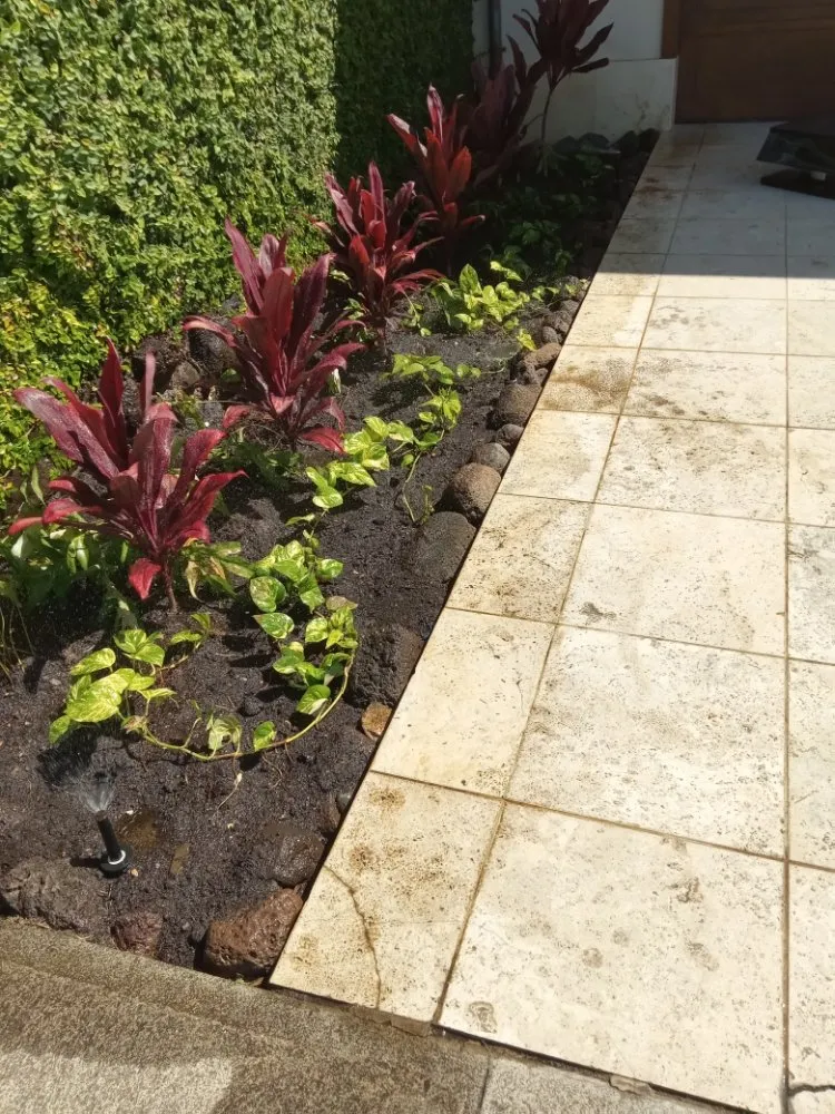 Local landscape installation for beautiful yards in Waipahu, HI by RM1 Yard & Landscaping Services