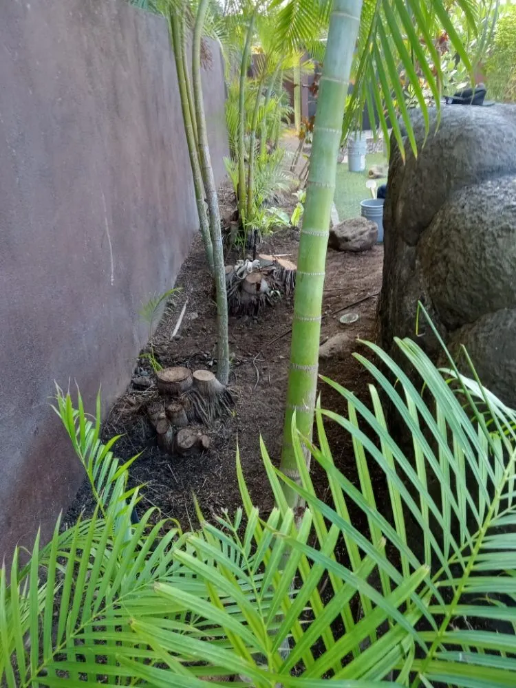 Reliable garden landscaping in Waipahu, HI - RM1 Yard & Landscaping Services