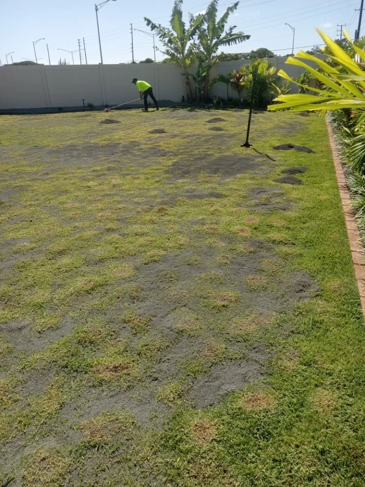 Top-rated landscape design in Waipahu, HI - RM1 Yard & Landscaping Services