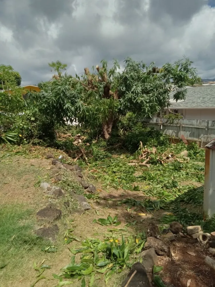 Trusted lawn care service in Waipahu, HI by RM1 Yard & Landscaping Services