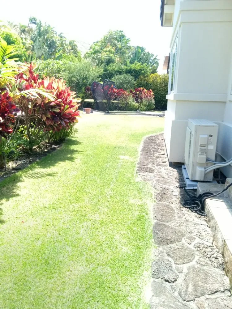 Expert lawn care service for beautiful yards across Waipahu, HI - RM1 Yard & Landscaping Services