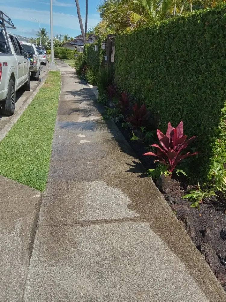 Local landscape installation for beautiful yards across Waipahu, HI - RM1 Yard & Landscaping Services
