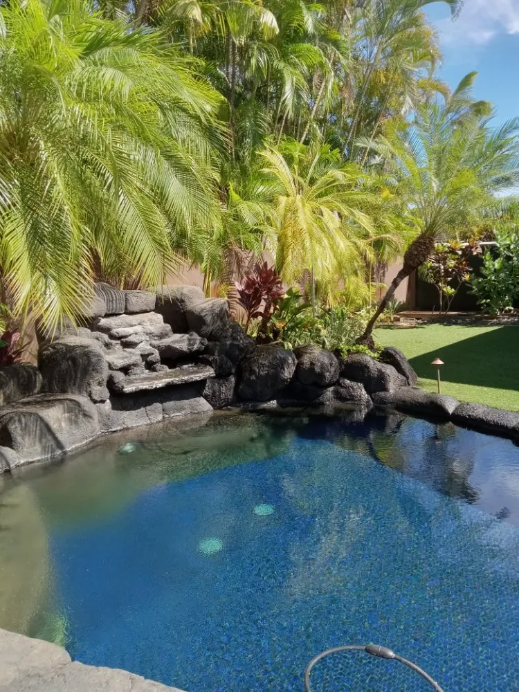 Professional yard maintenance experts serving Waipahu, HI - RM1 Yard & Landscaping Services