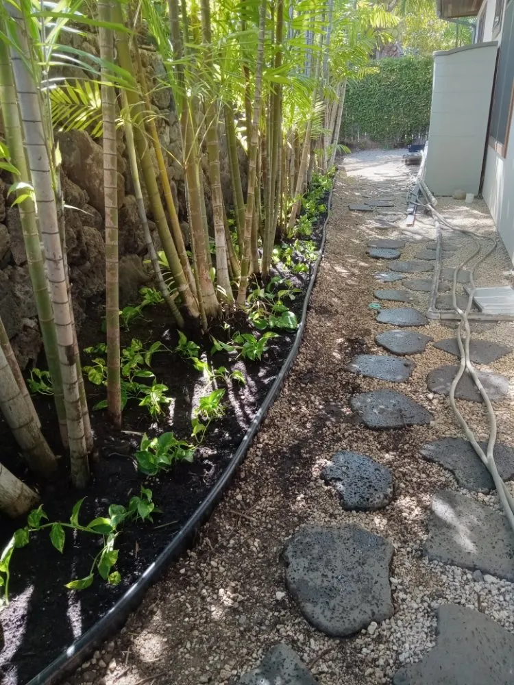 Professional residential landscaping in Waipahu, HI - RM1 Yard & Landscaping Services