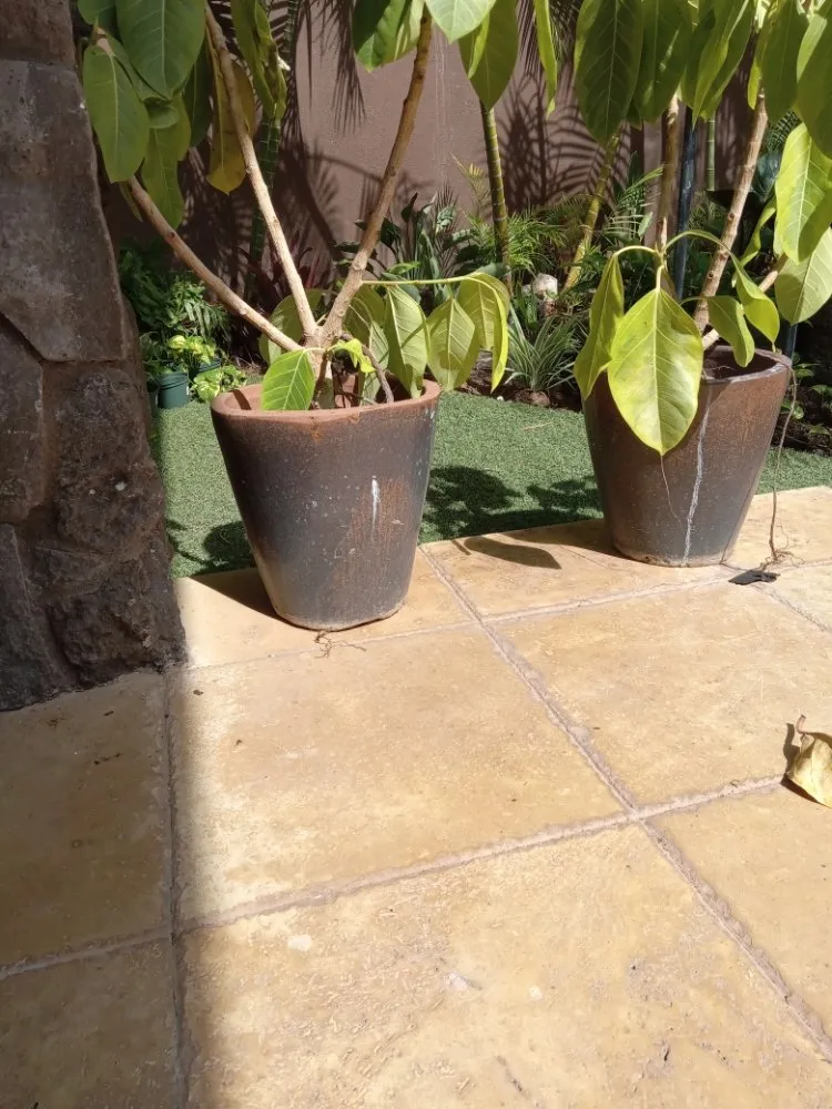 Expert garden landscaping experts serving Waipahu, HI - RM1 Yard & Landscaping Services