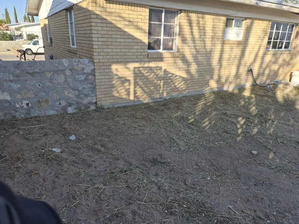 Custom residential landscaping near you across Las Cruces, NM - RMA Tree Removal & Landscaping