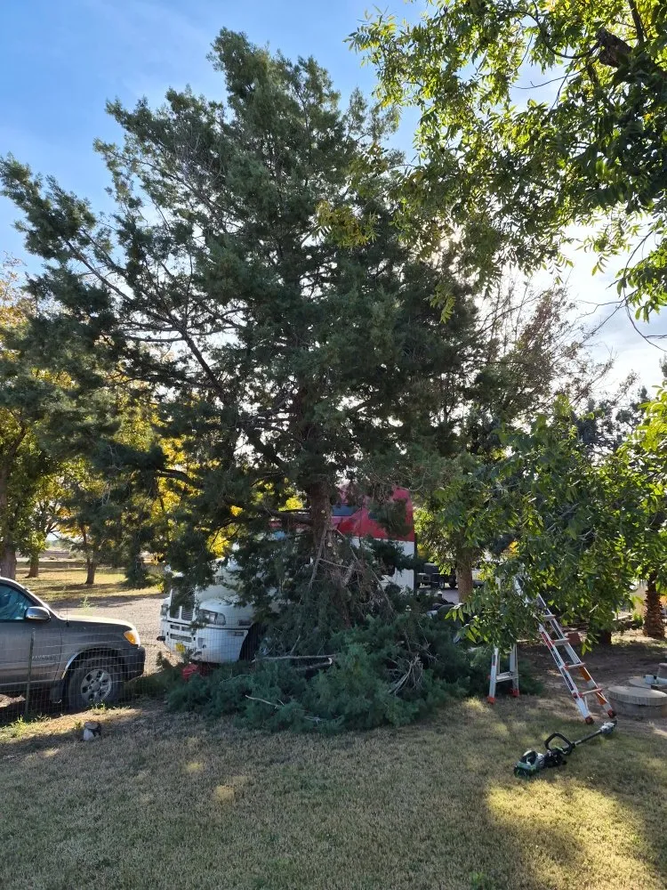 Top-rated outdoor landscaping for outdoor upgrades in Las Cruces, NM by RMA Tree Removal & Landscaping