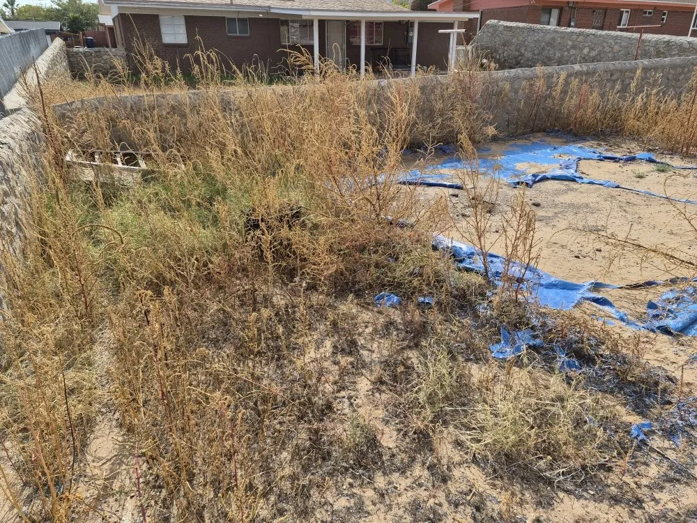 Expert residential landscaping for beautiful yards in Las Cruces, NM by RMA Tree Removal & Landscaping