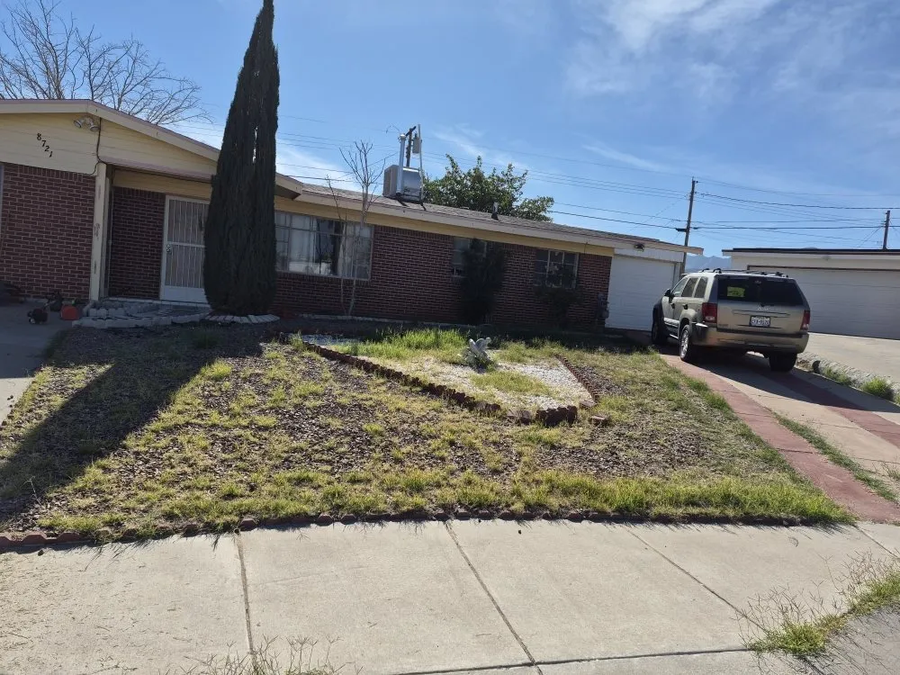 Affordable lawn mowing service in Las Cruces, NM by RMA Tree Removal & Landscaping