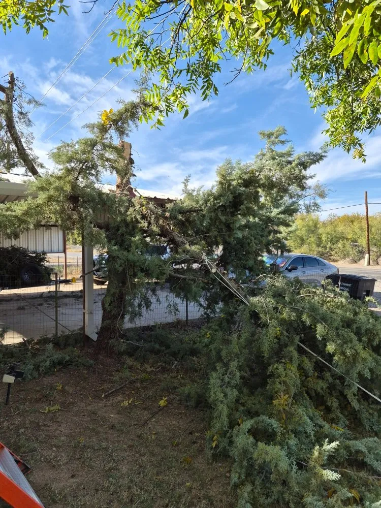 Expert outdoor landscaping for homes across Las Cruces, NM - RMA Tree Removal & Landscaping