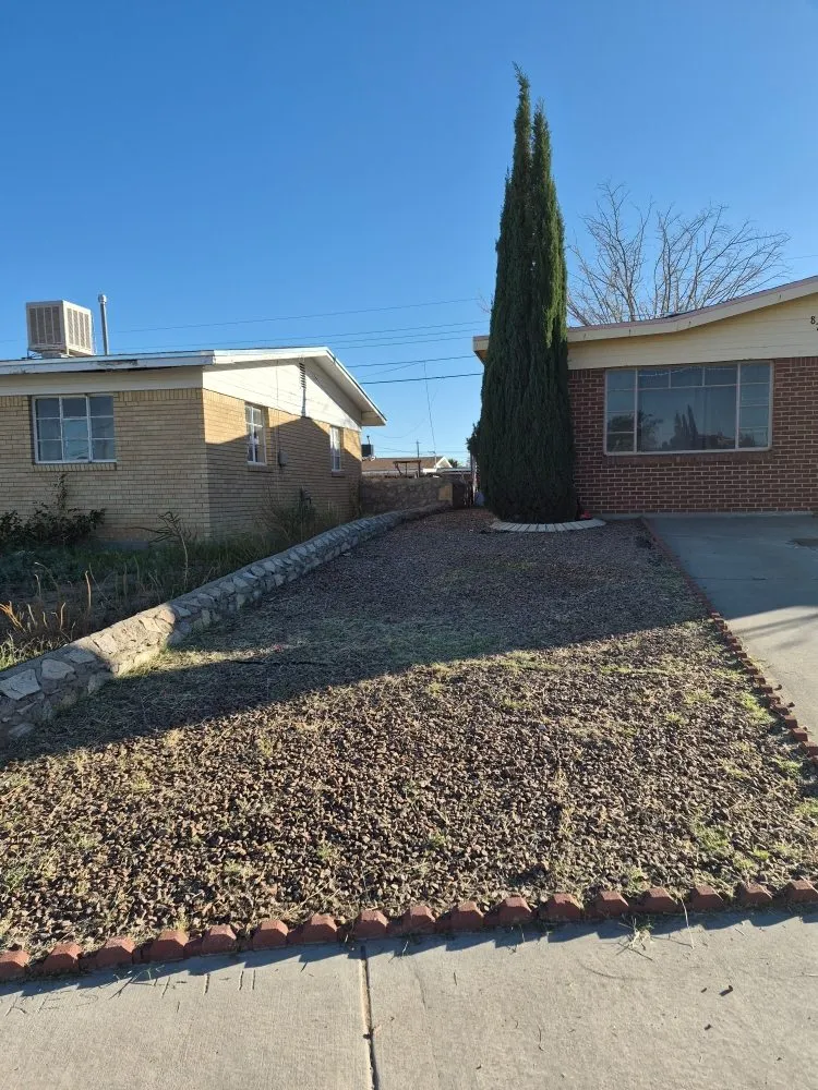 Expert yard maintenance in Las Cruces, NM by RMA Tree Removal & Landscaping
