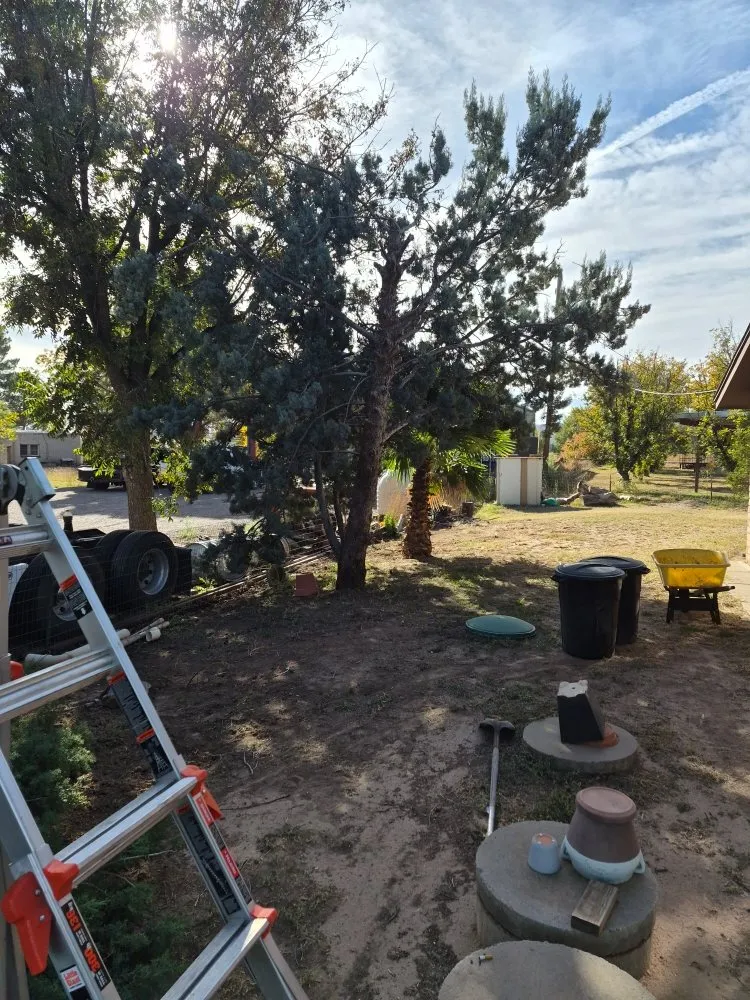 Expert lawn mowing service in Las Cruces, NM by RMA Tree Removal & Landscaping