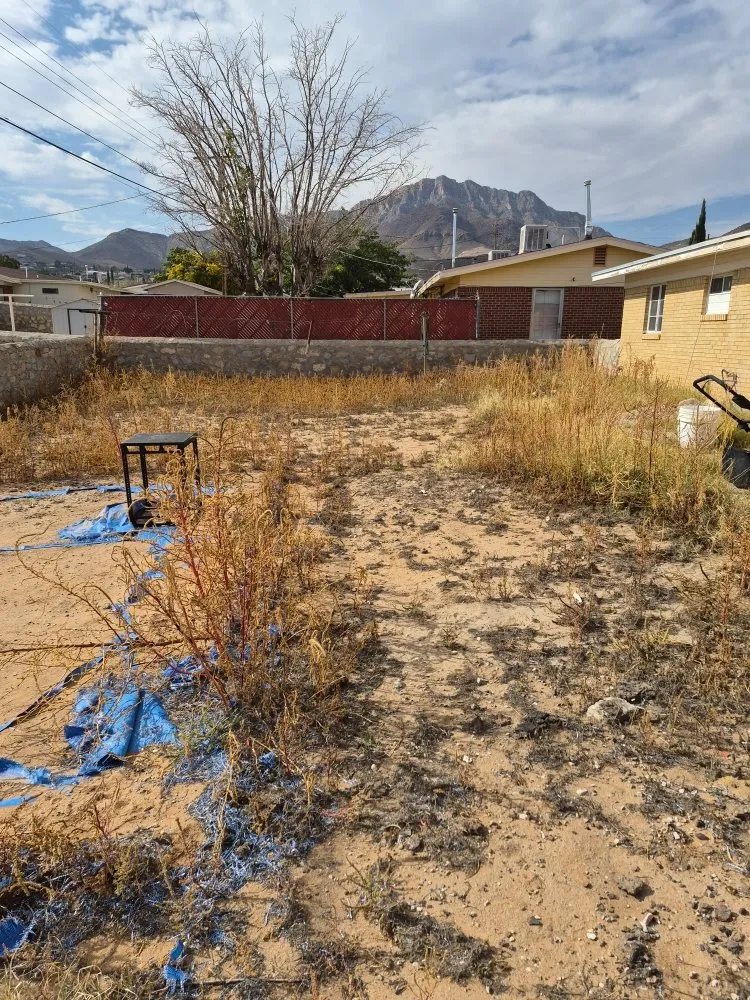 Trusted outdoor landscaping in Las Cruces, NM by RMA Tree Removal & Landscaping