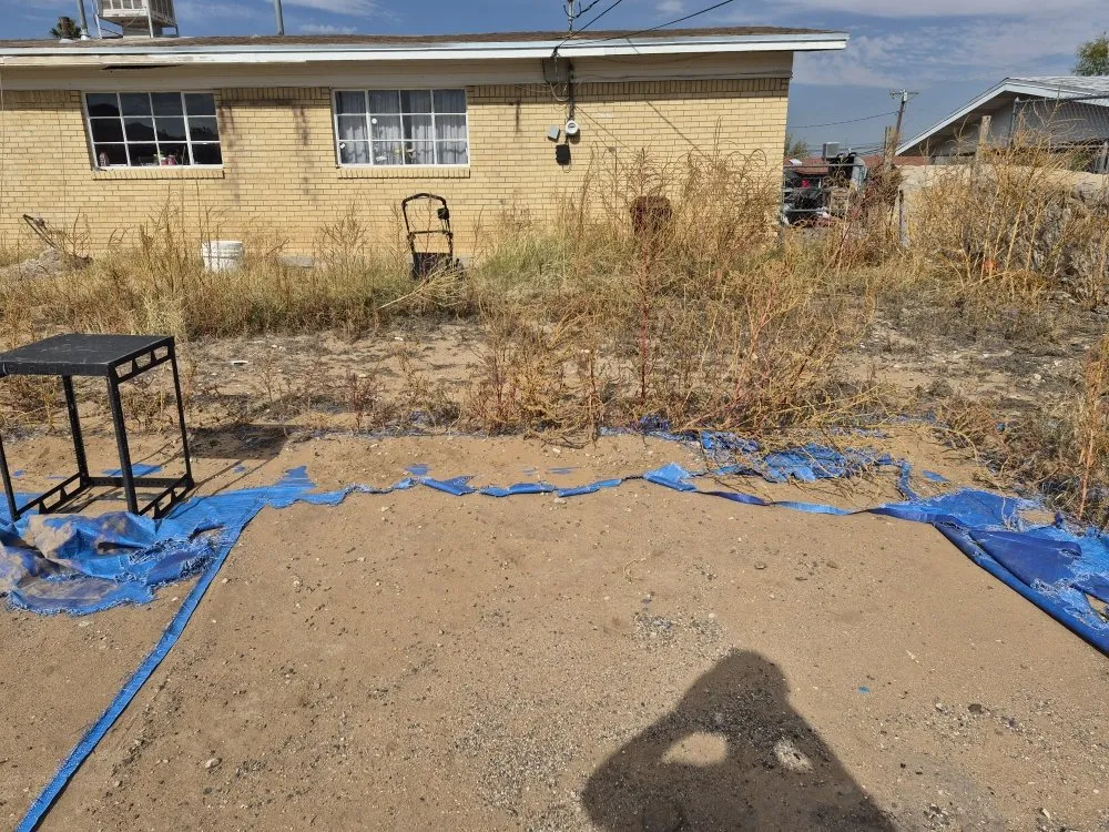 Custom landscape installation experts serving Las Cruces, NM - RMA Tree Removal & Landscaping