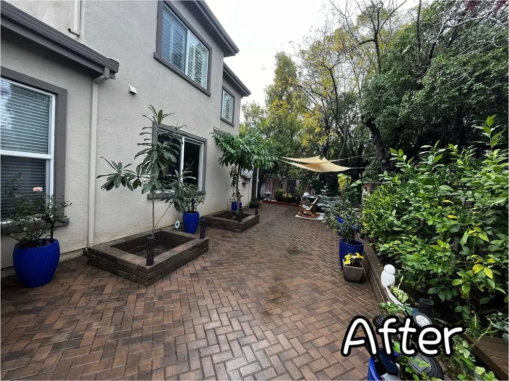 Local lawn care service in Cleveland, TX by RMC