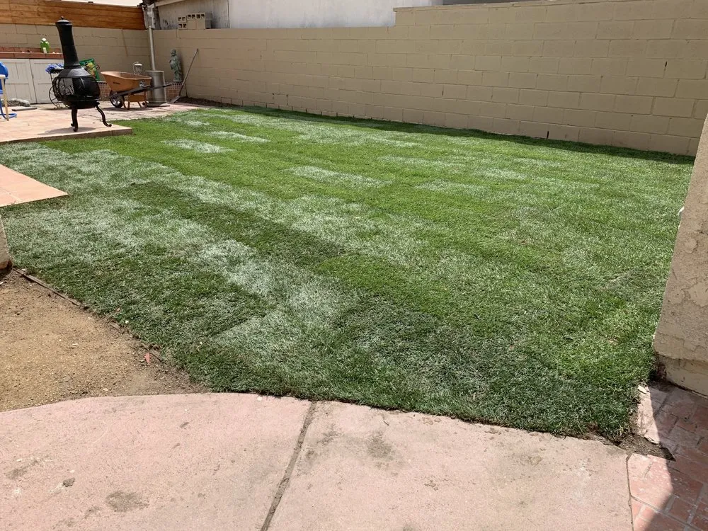 Local lawn care service for homes across Baldwin Park, CA - RMC Landscape
