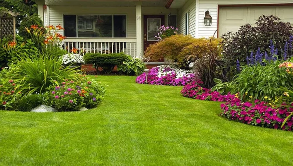 Top-rated landscaping services for beautiful yards across Woodland, PA - RMC Landscaping